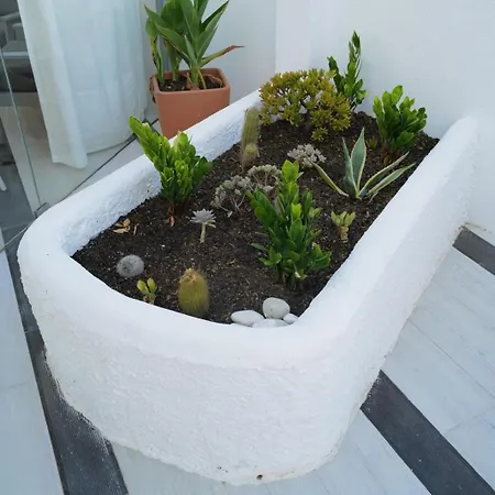 O Tourinho Guest house 3*